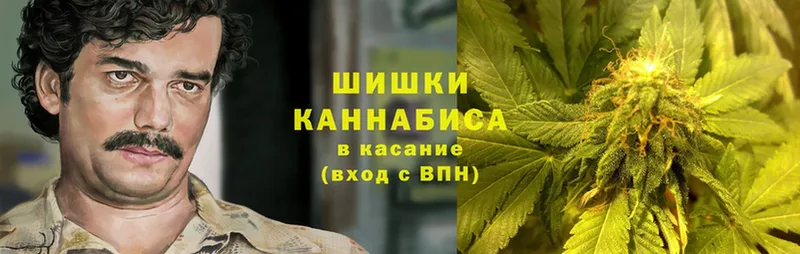 Конопля White Widow  Барыш 